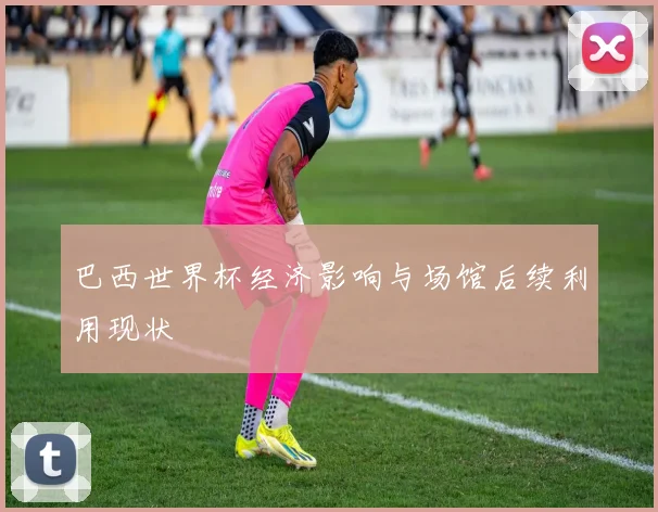 巴西世界杯经济影响与场馆后续利用现状