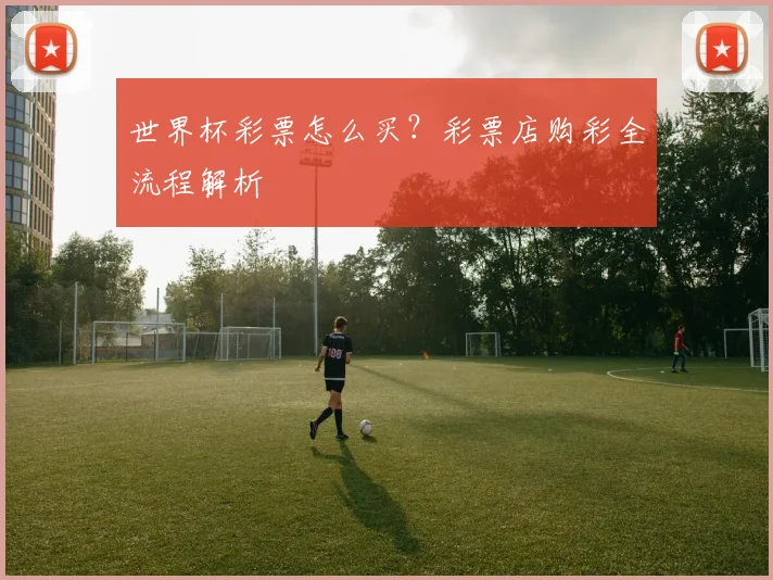 世界杯彩票怎么买？彩票店购彩全流程解析