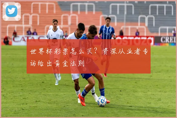 世界杯彩票怎么买？资深从业者专访给出黄金法则