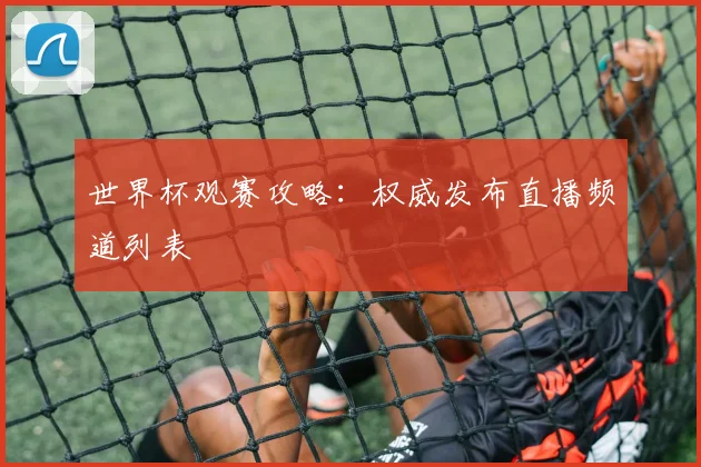 世界杯观赛攻略：权威发布直播频道列表