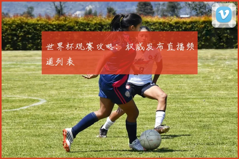 世界杯观赛攻略：权威发布直播频道列表