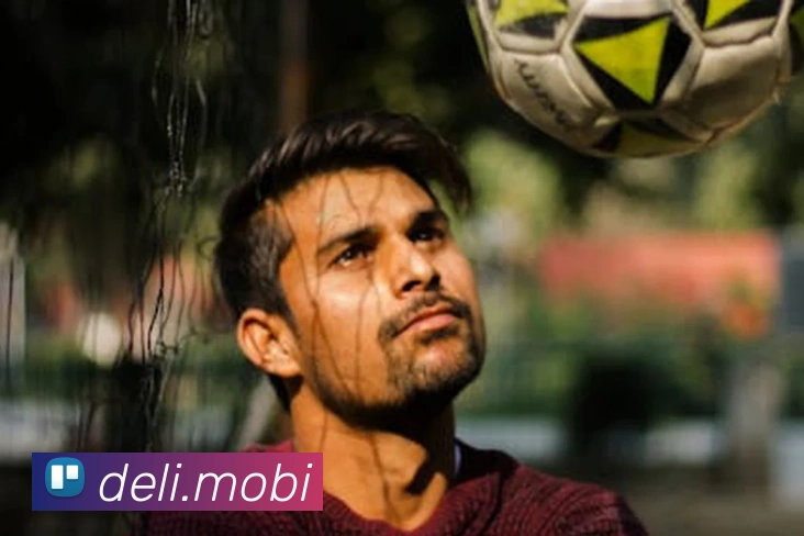 半岛官网首页APP 高清赛事图